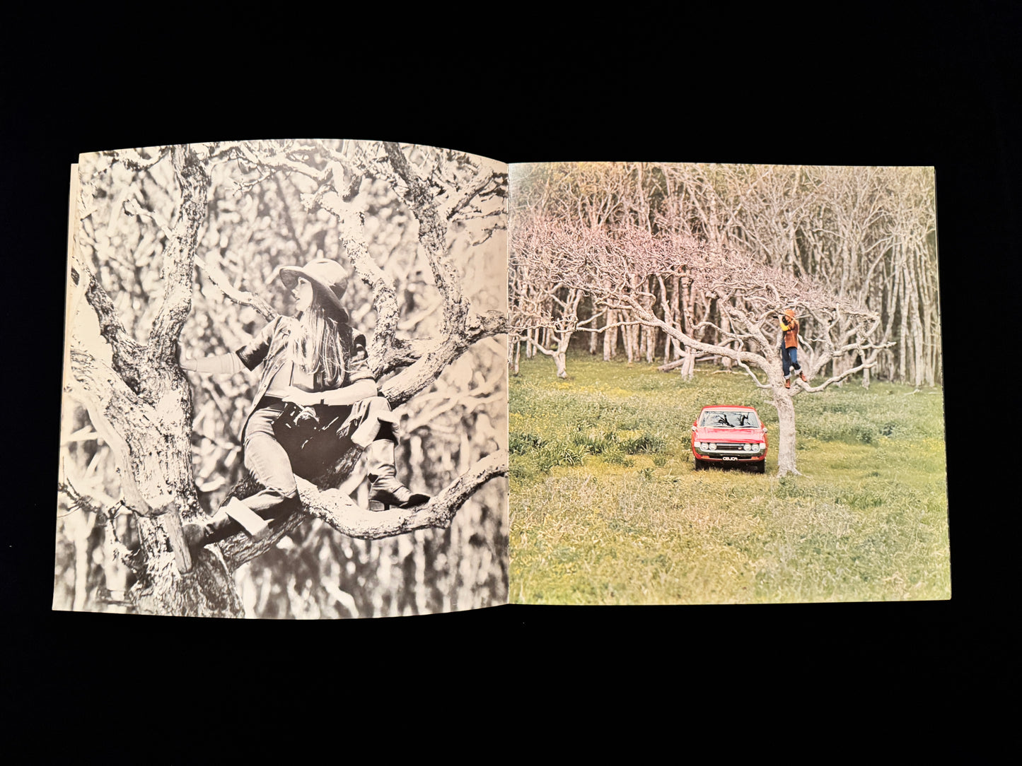 PHOTO POEM