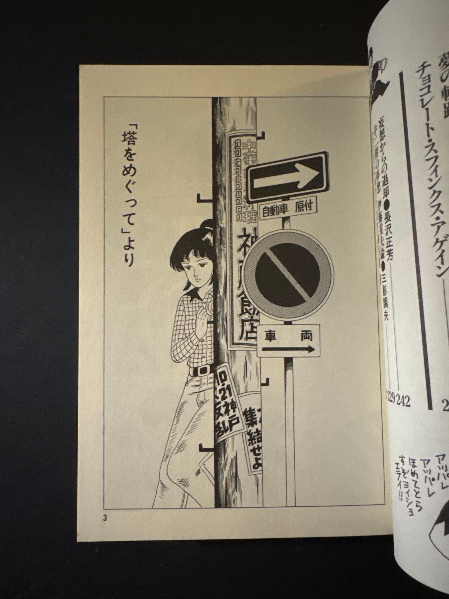 Thoughts on the Chocolate Sphinx