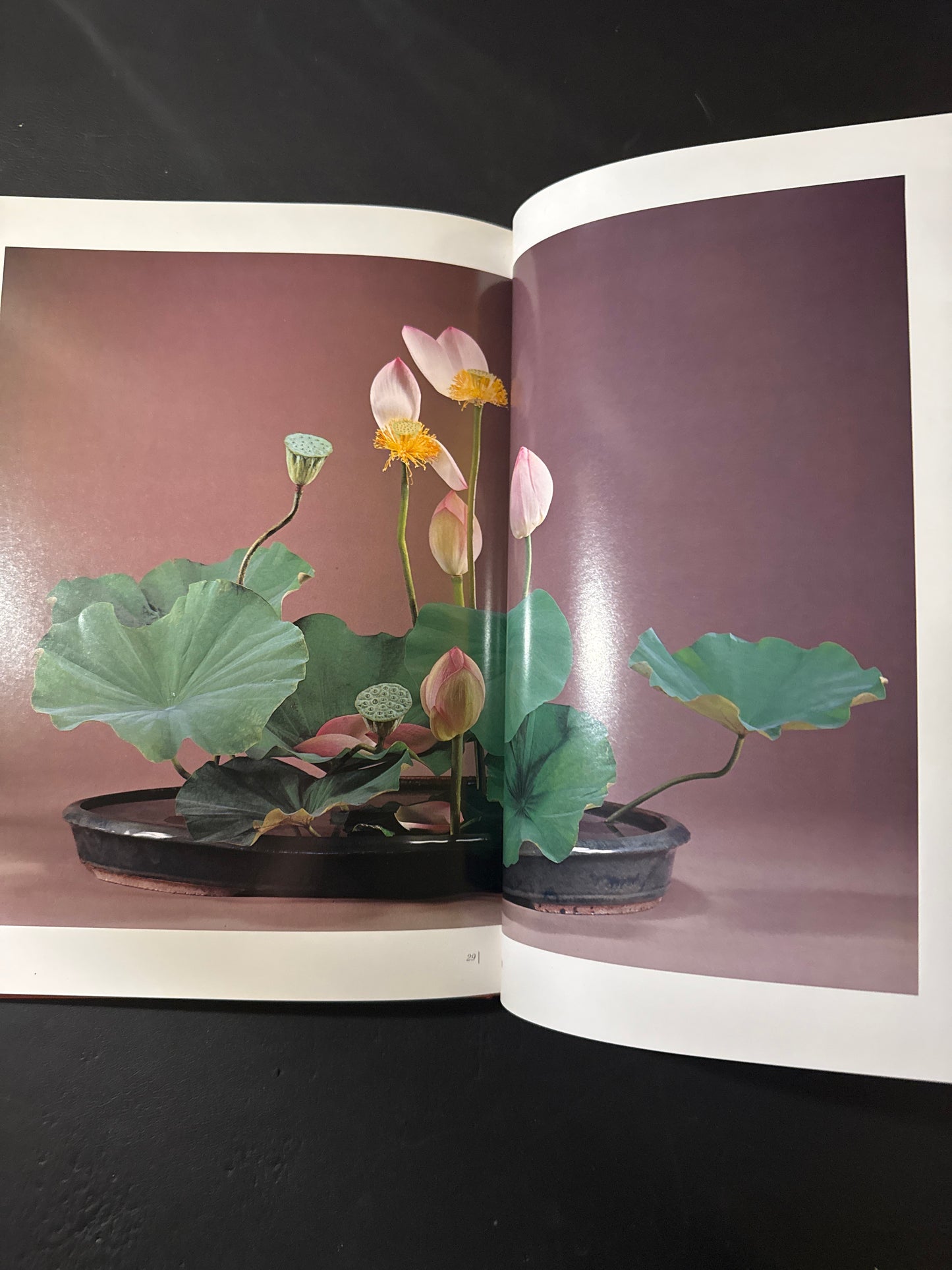 Sofu Teshigawara Ikebana 5 vol. complete set