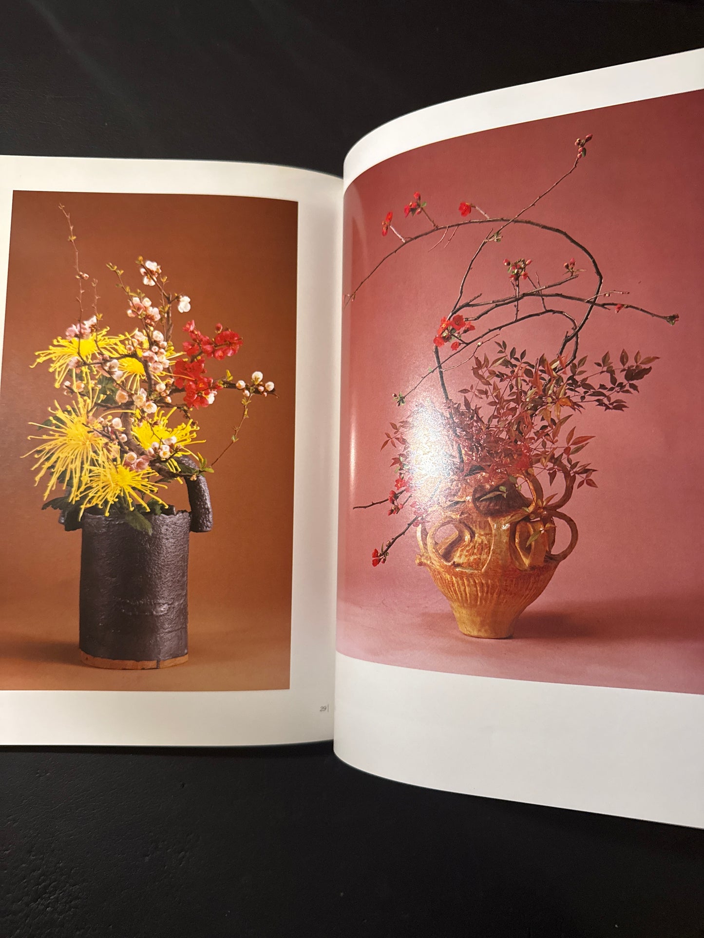 Sofu Teshigawara Ikebana 5 vol. complete set