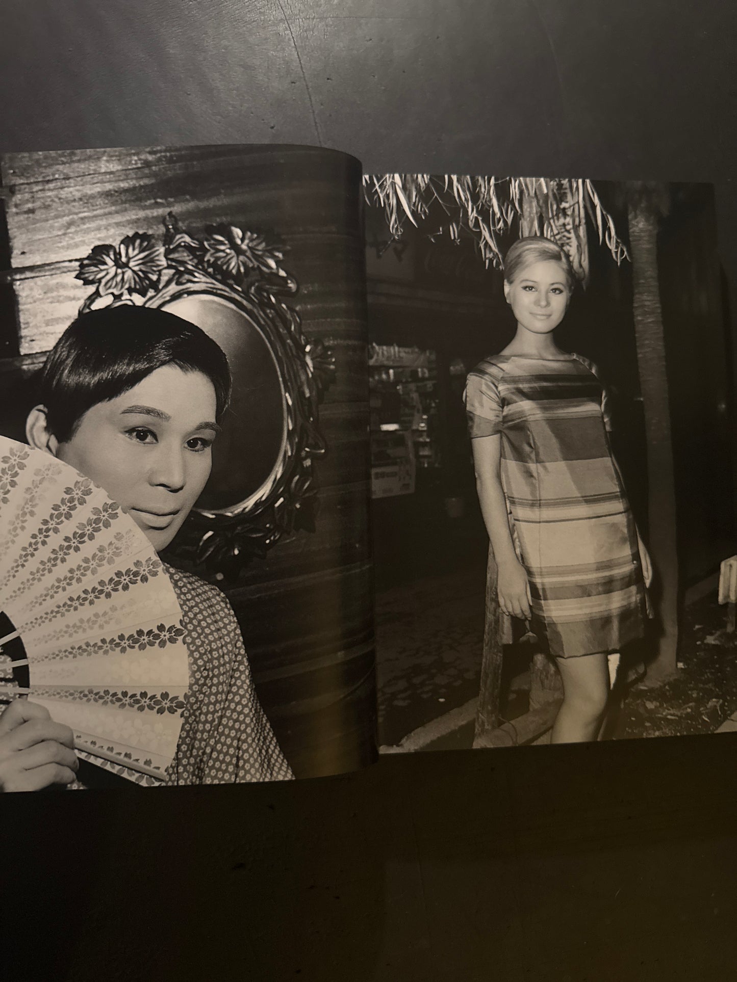 SHINJUKU GUNTODEN 1965-1973 (Limited 500copies)