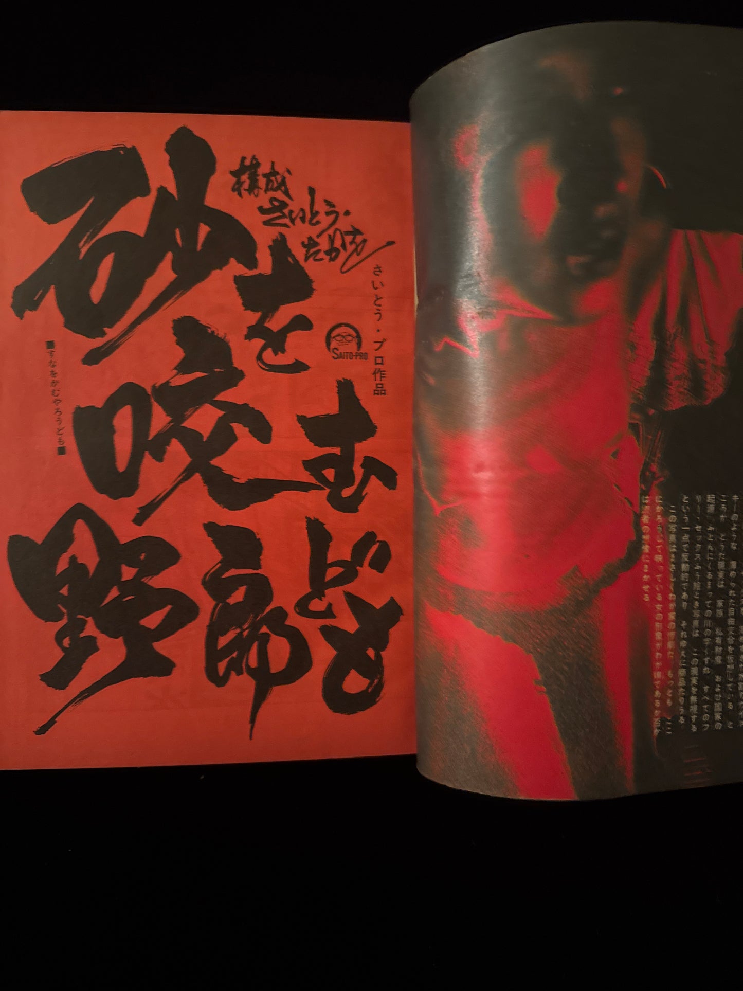 Sunday Mainichi : Gekiga & Manga