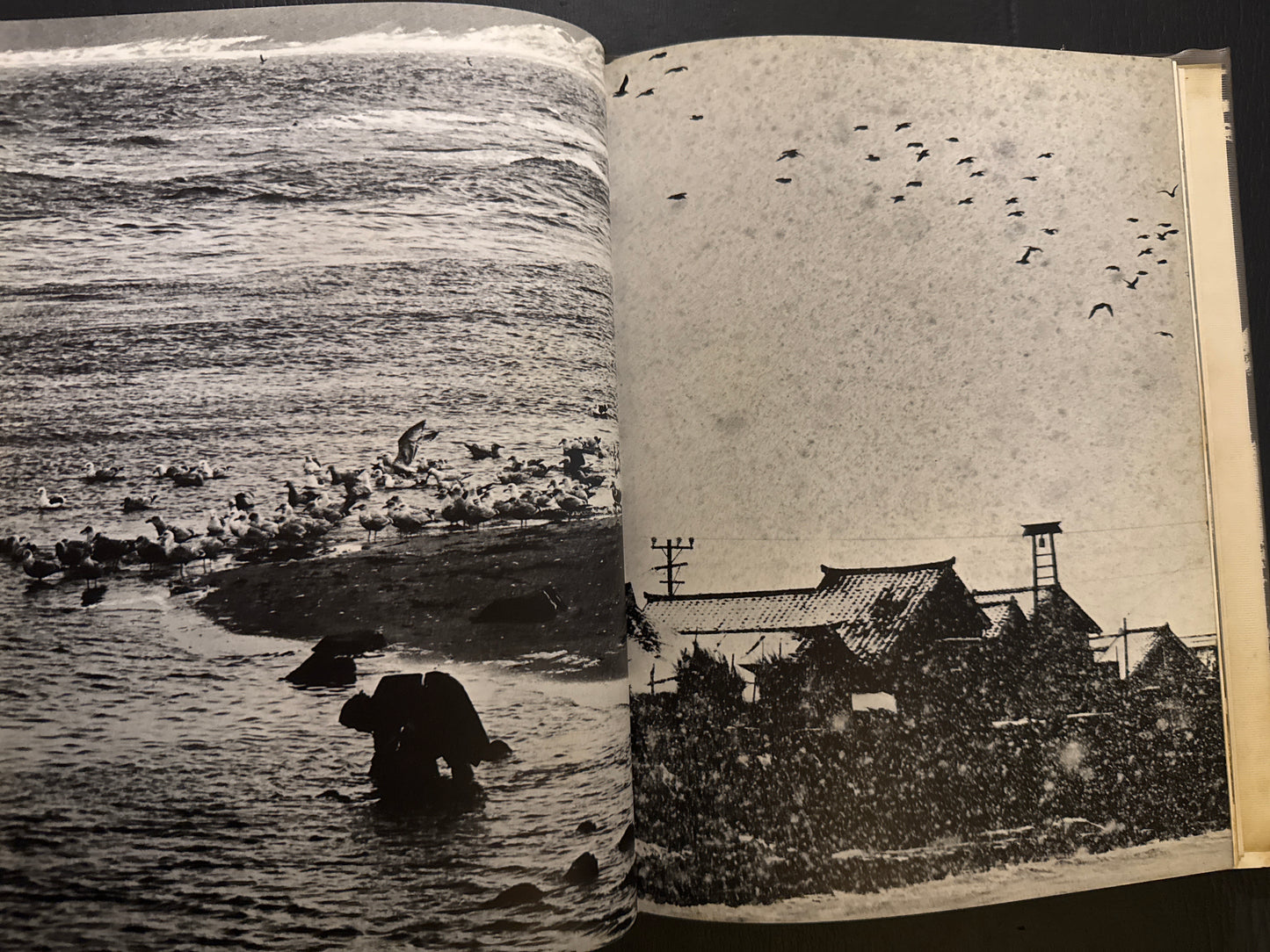 Selected Works of NANIWA SHASHIN CLUB 60th anniversary 1966