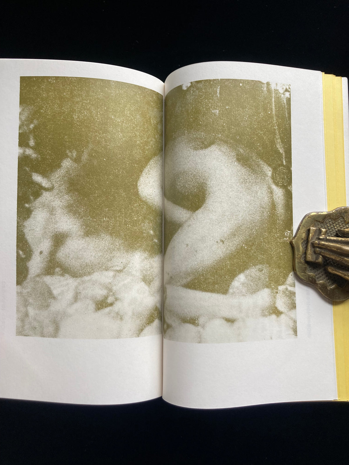 Collected Critical Essays by Shuji Terayama
A Tour of Hell in America