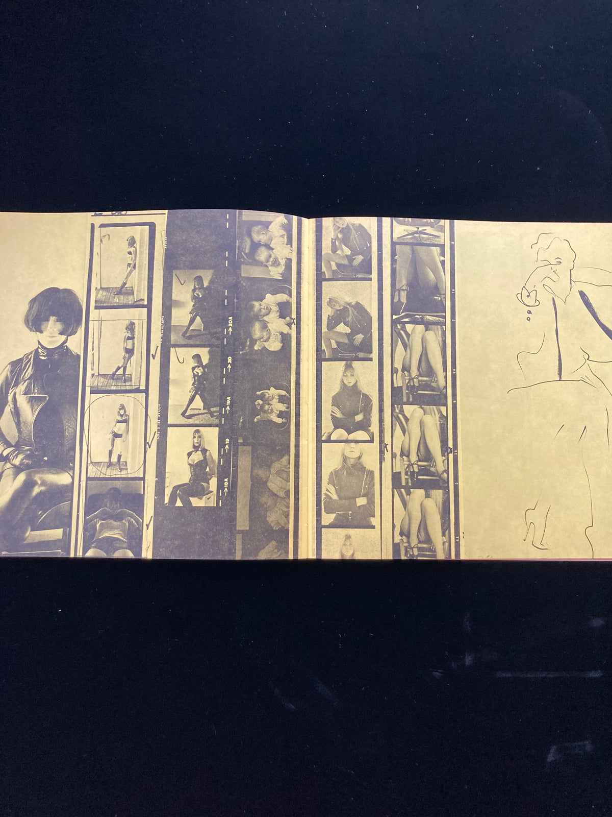 ALLEN JONES catalogue