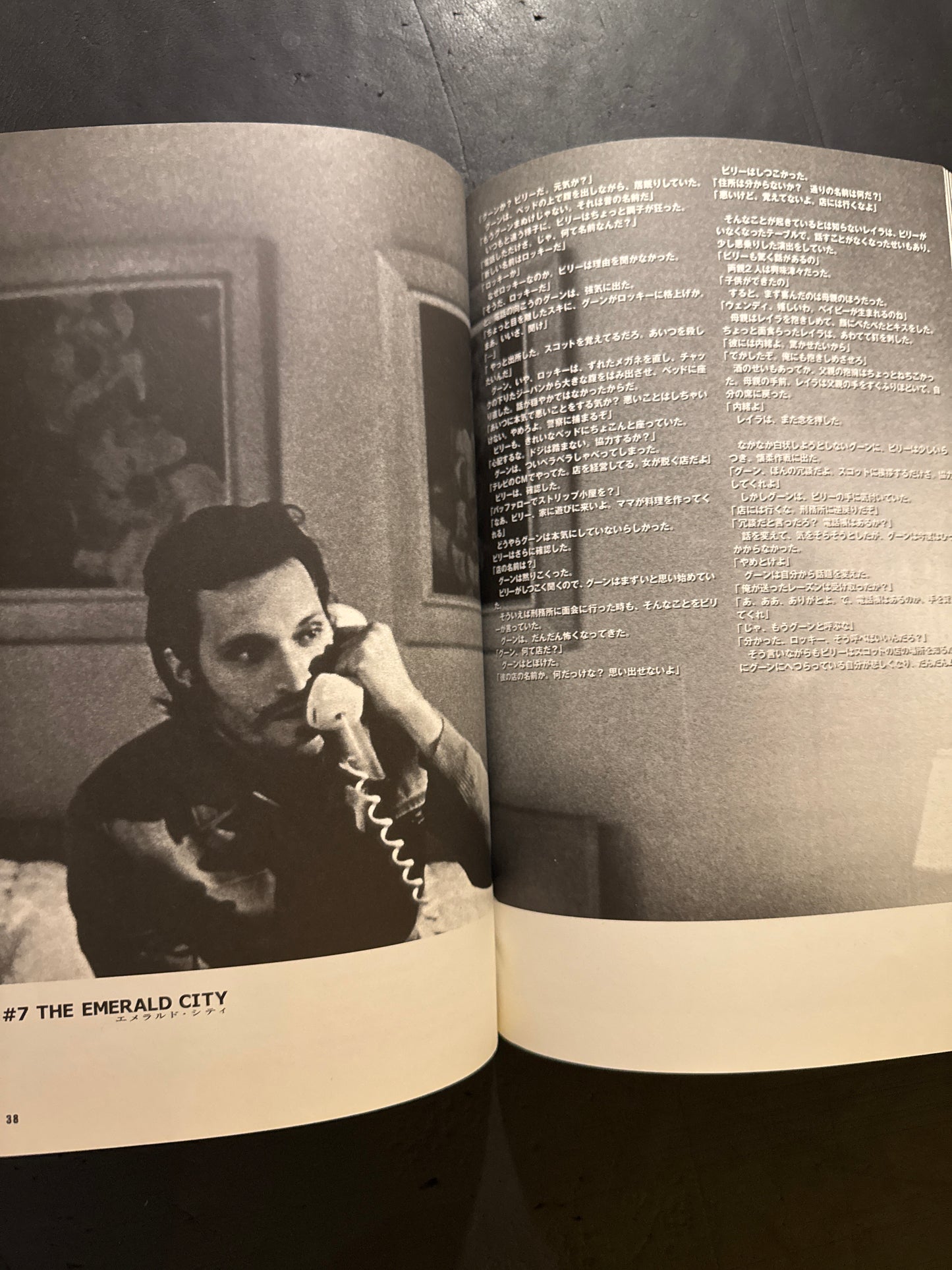 Buffalo '66 visual book