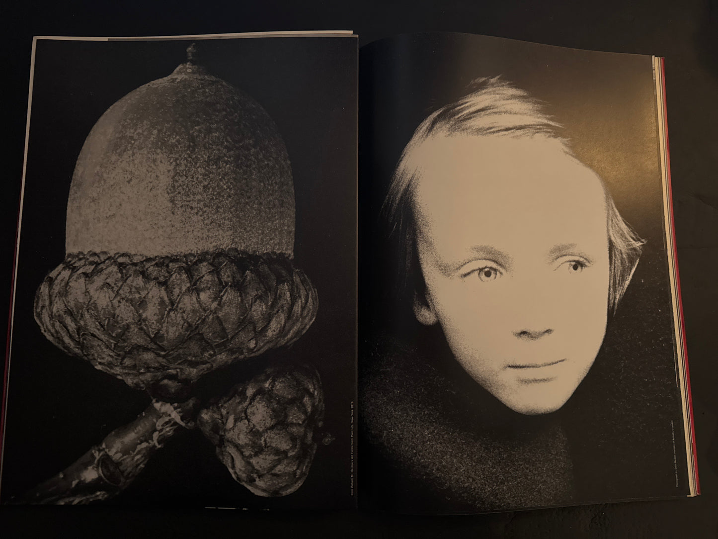 Six :  8 volume complete set