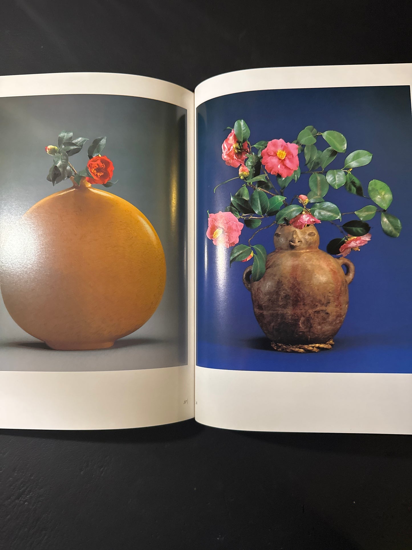 Sofu Teshigawara Ikebana 5 vol. complete set