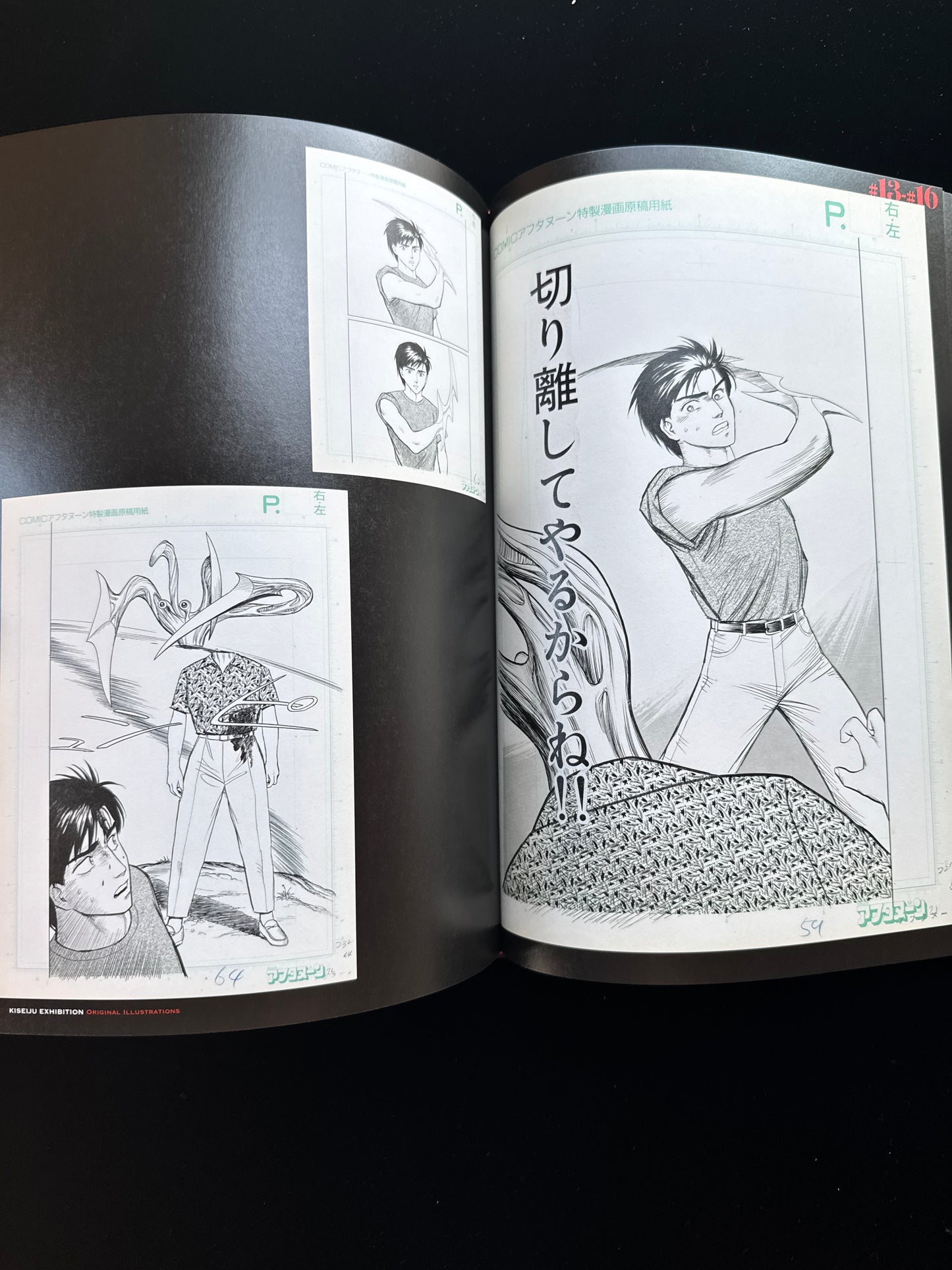 KISEIJU EXHIBITION ORIGINAL ILLUSTRATION