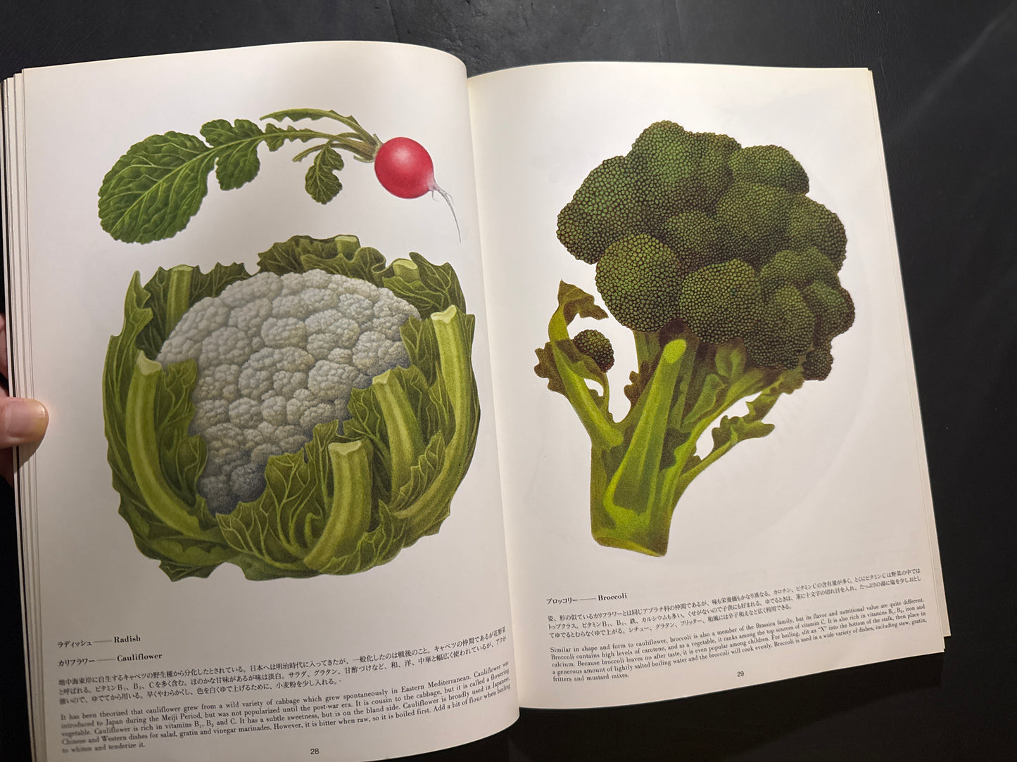 VEGETABLES