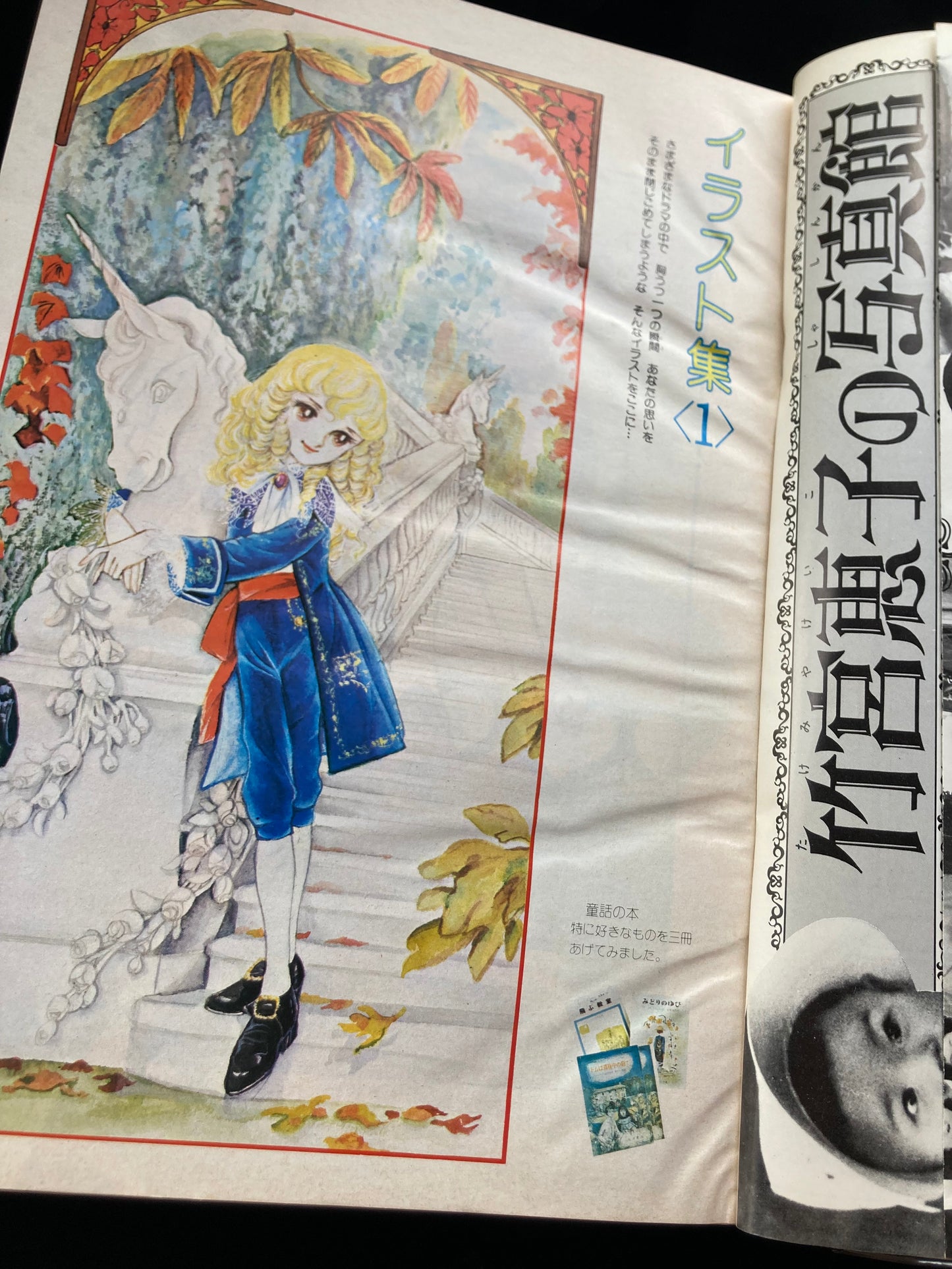 "Flower Deluxe" Keiko Takemiya illustration book