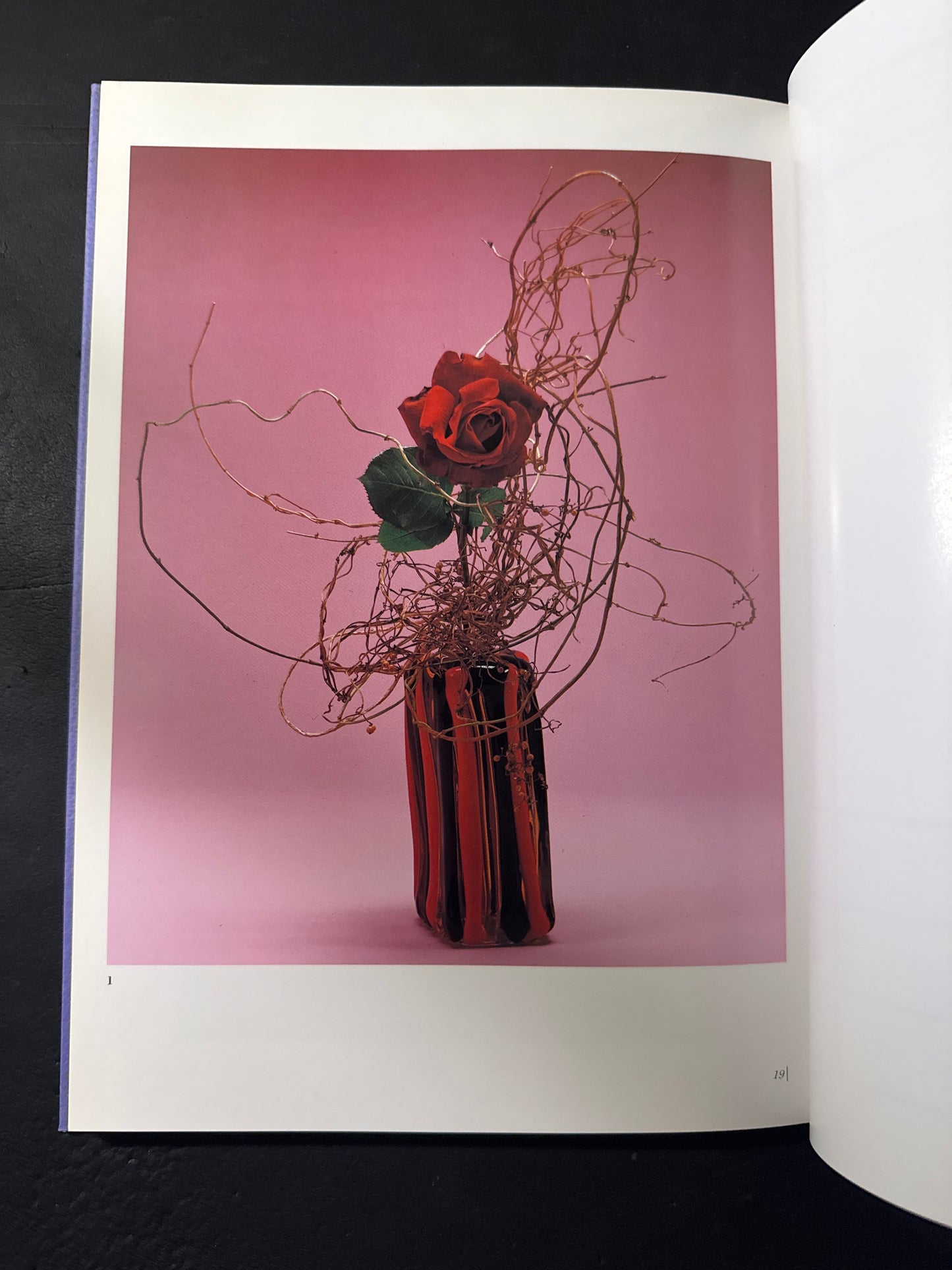 Sofu Teshigawara Ikebana 5 vol. complete set