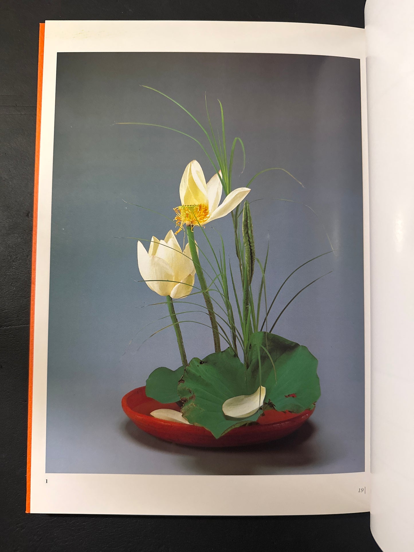 Sofu Teshigawara Ikebana 5 vol. complete set