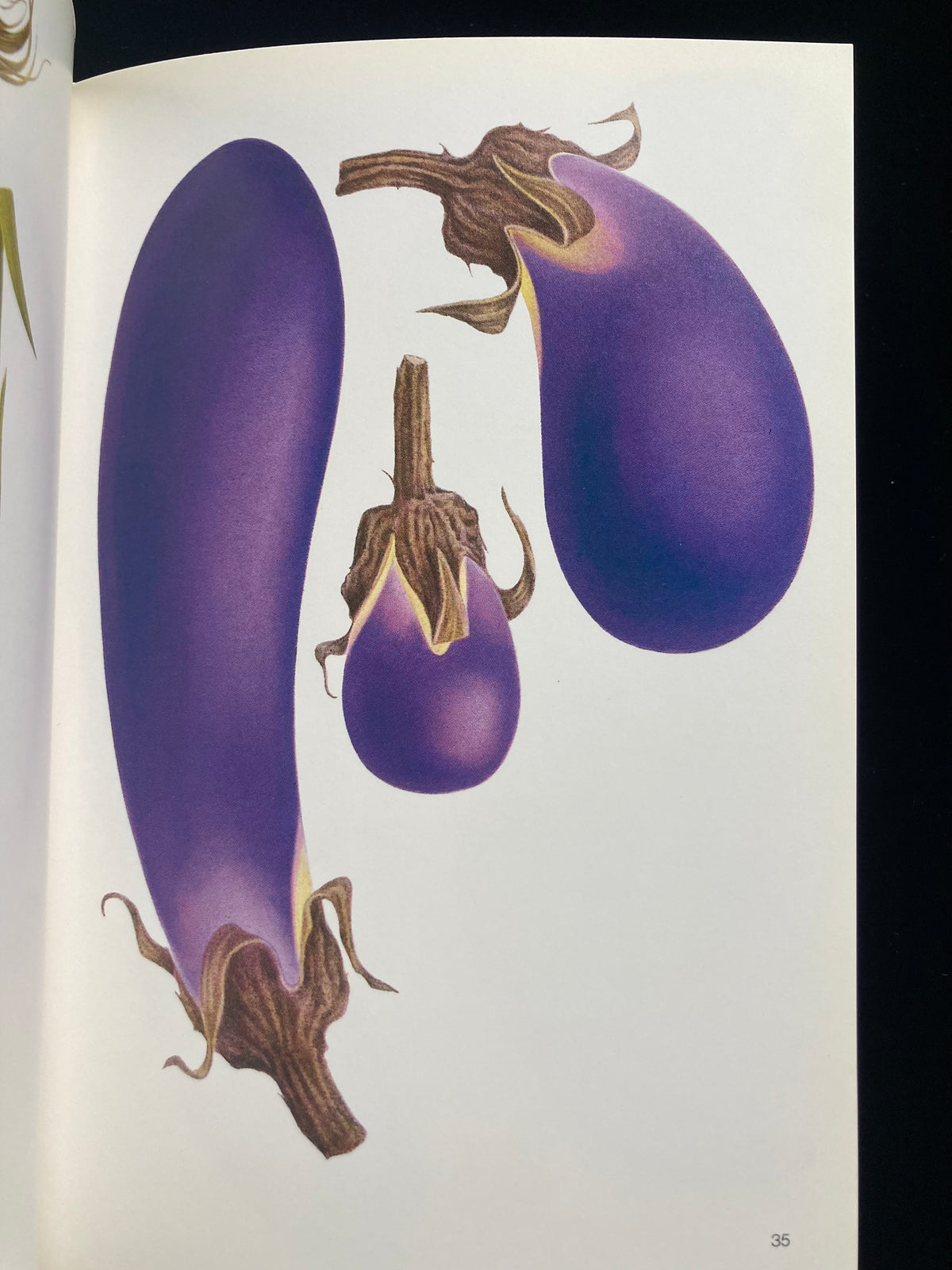 Tadashi Ohara(World Graphic Design 28)
