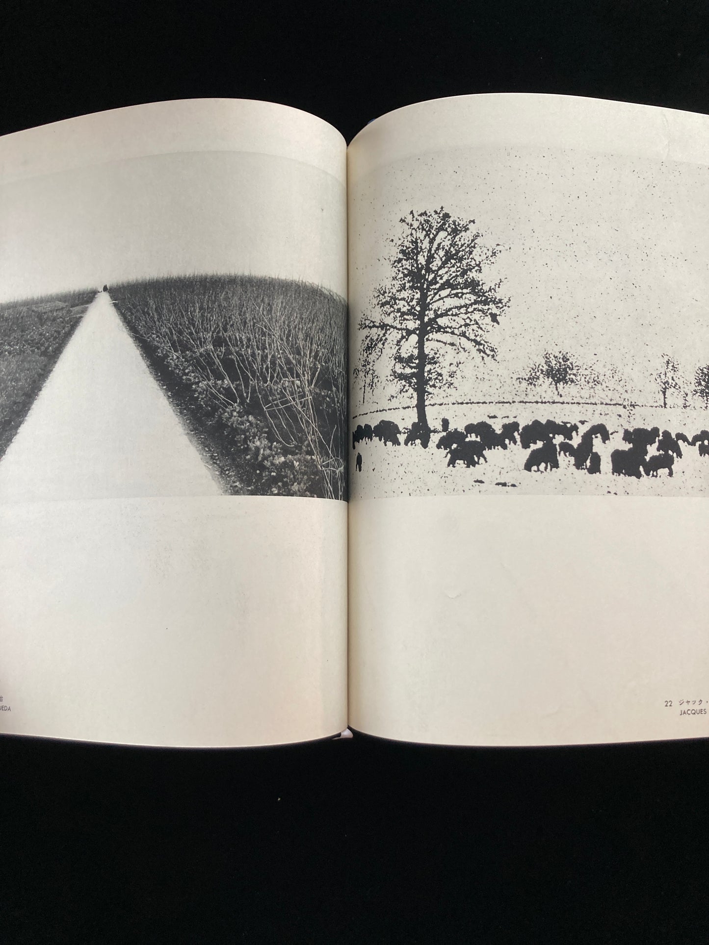 photography of the world '60