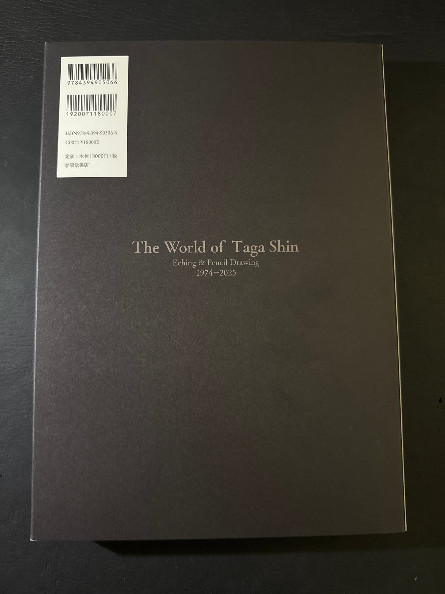 The World of Shin Taga