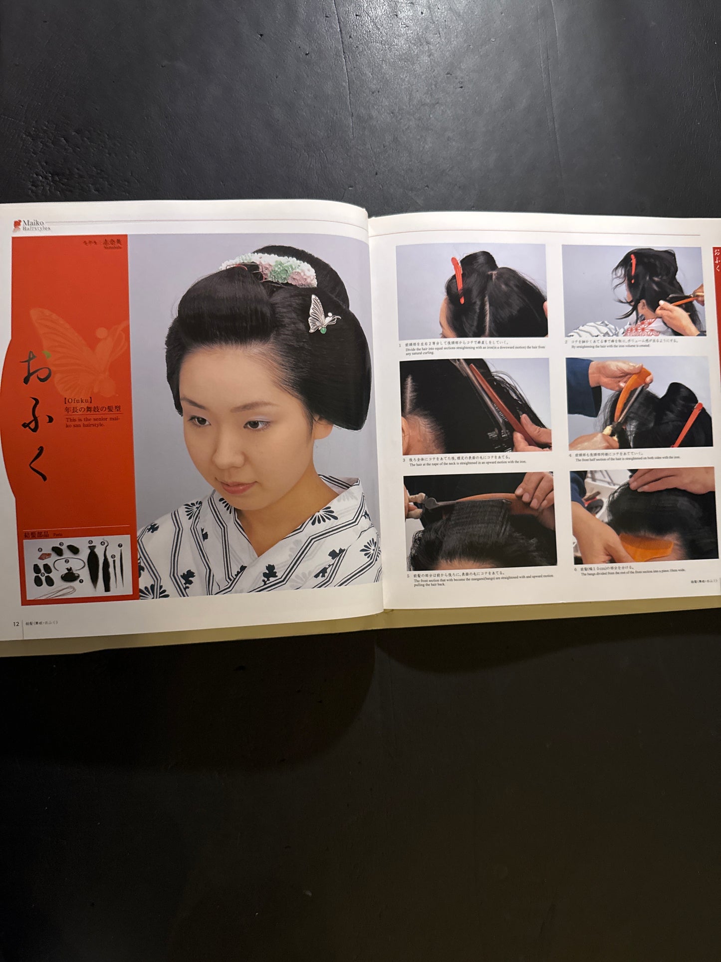 The World of Traditional Japanese Hairstyles/Hairstyle of The Maiko