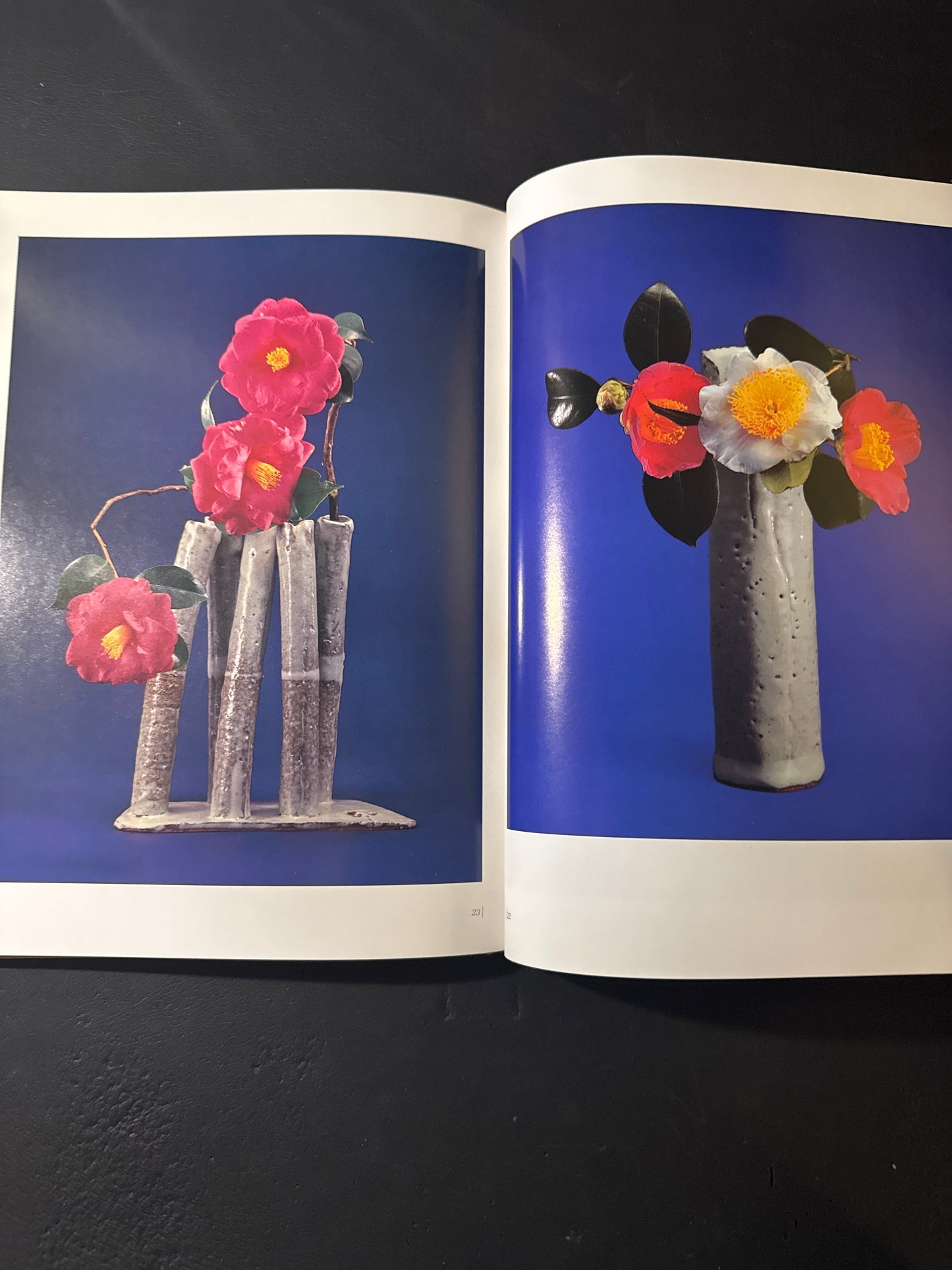 Sofu Teshigawara Ikebana 5 vol. complete set