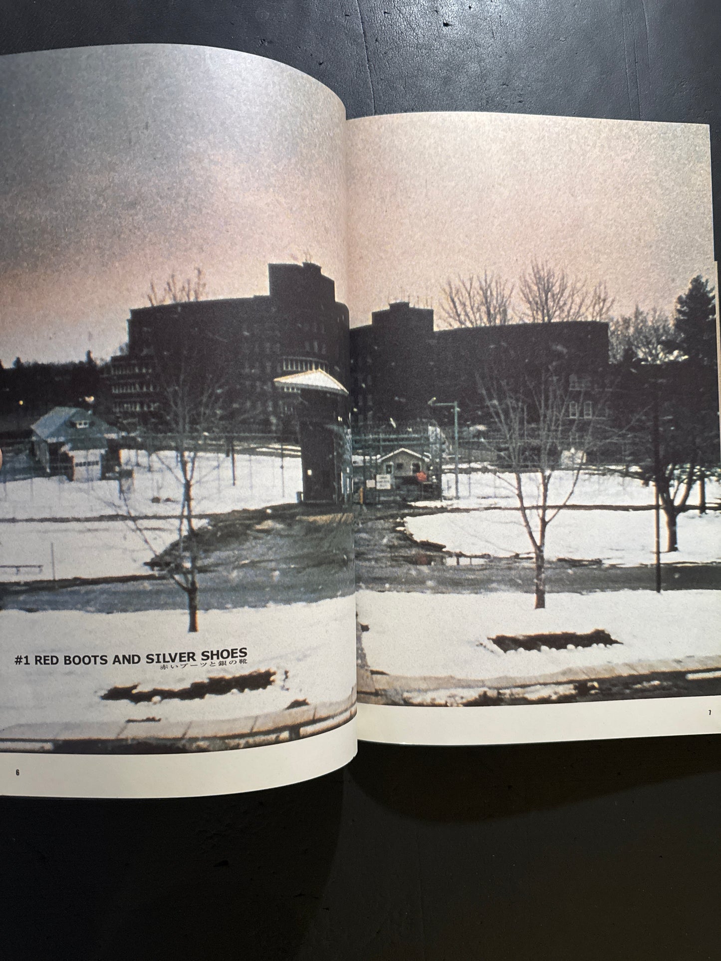 Buffalo '66 visual book