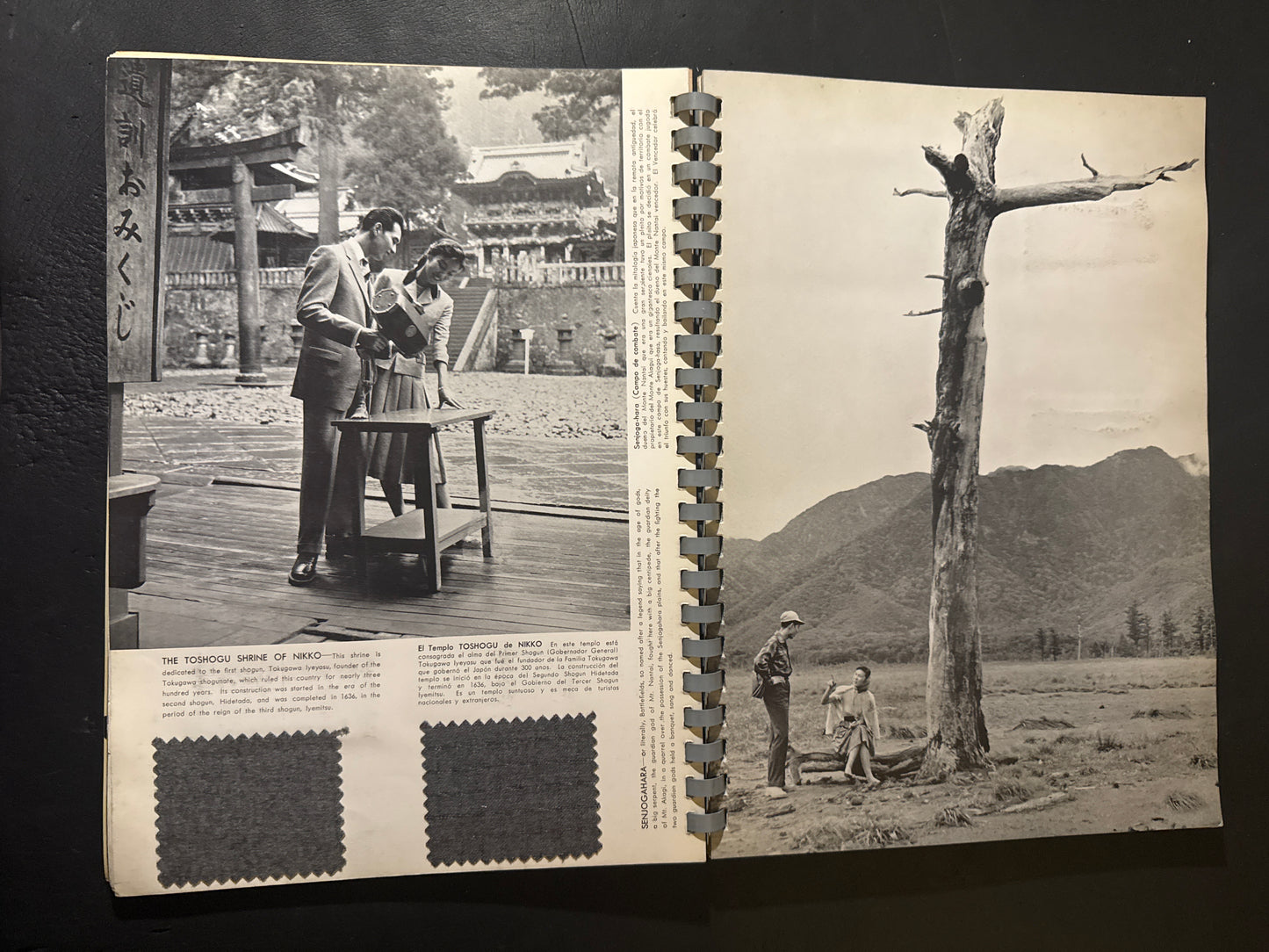 Woolens & Worsteds of Japan