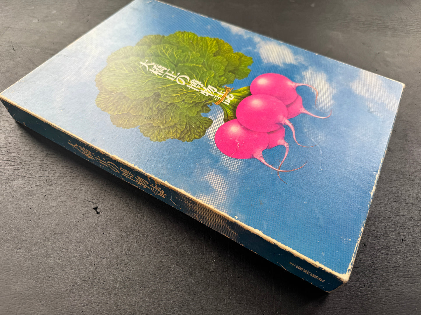 Tadashi Ohashi's Natural History
