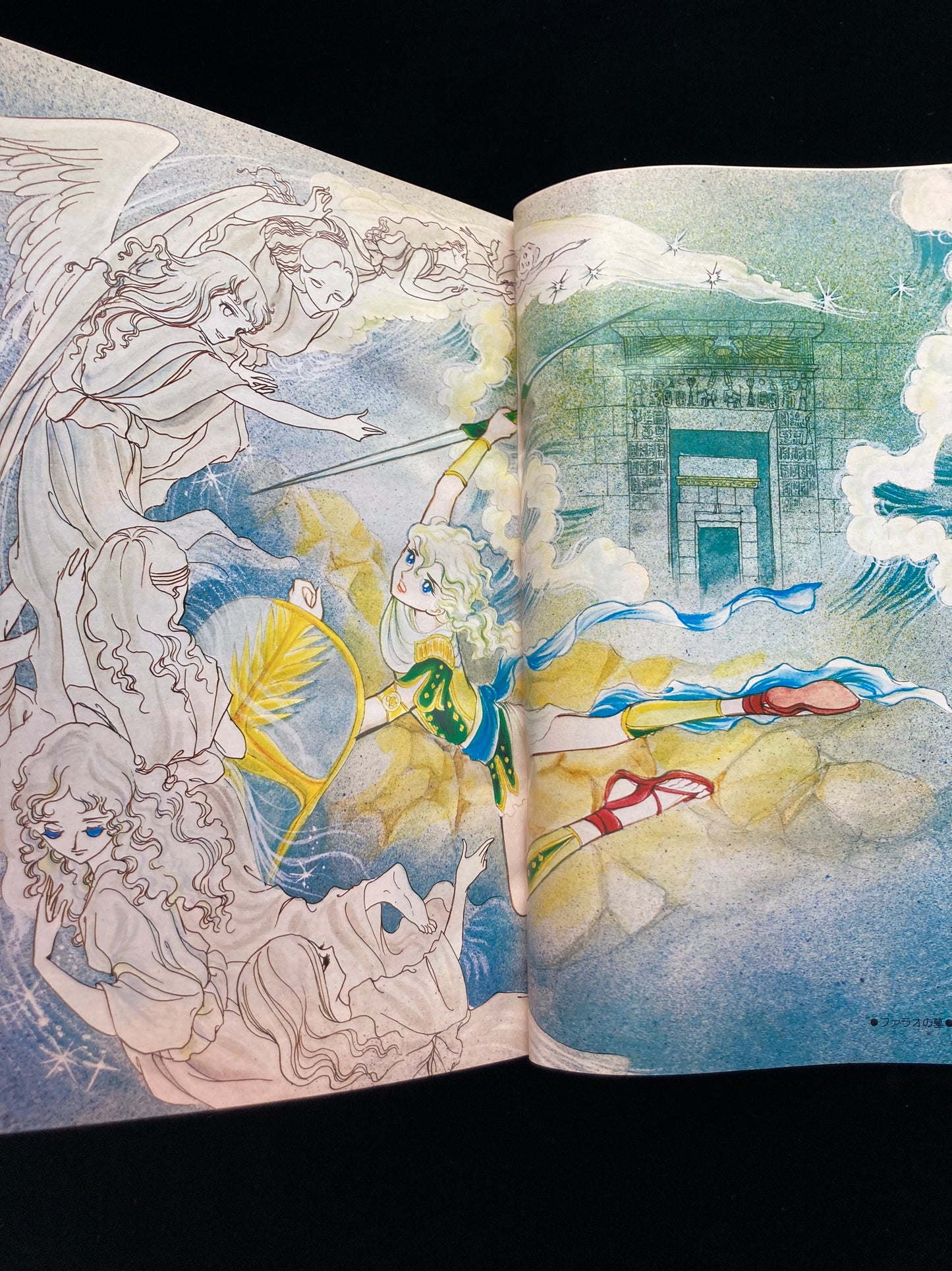 "Flower Deluxe" Keiko Takemiya illustration book