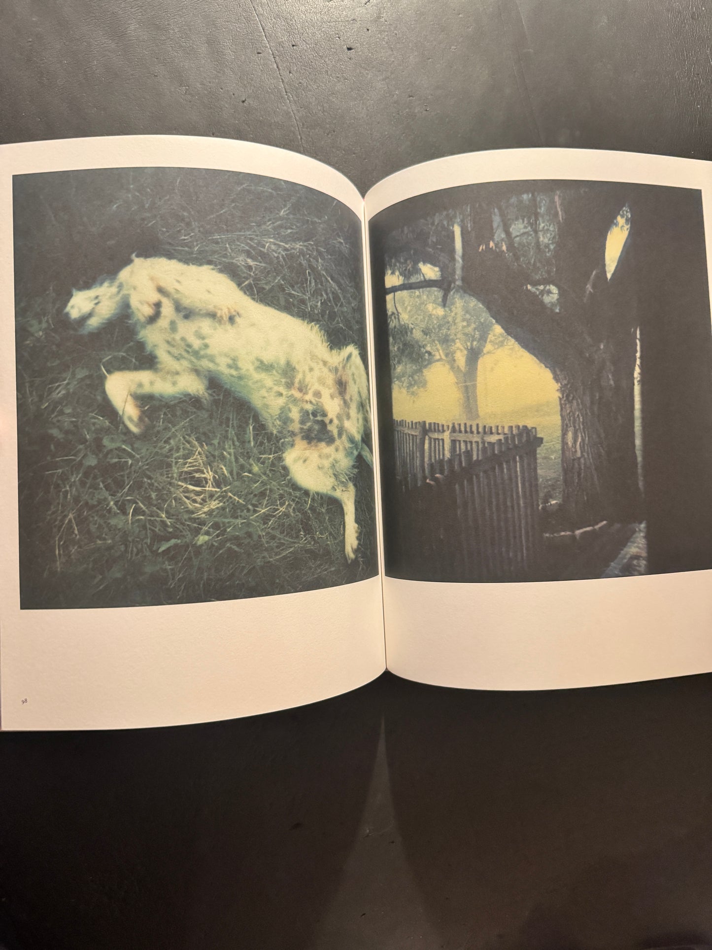 Bright, Bright Day (Russian edition)