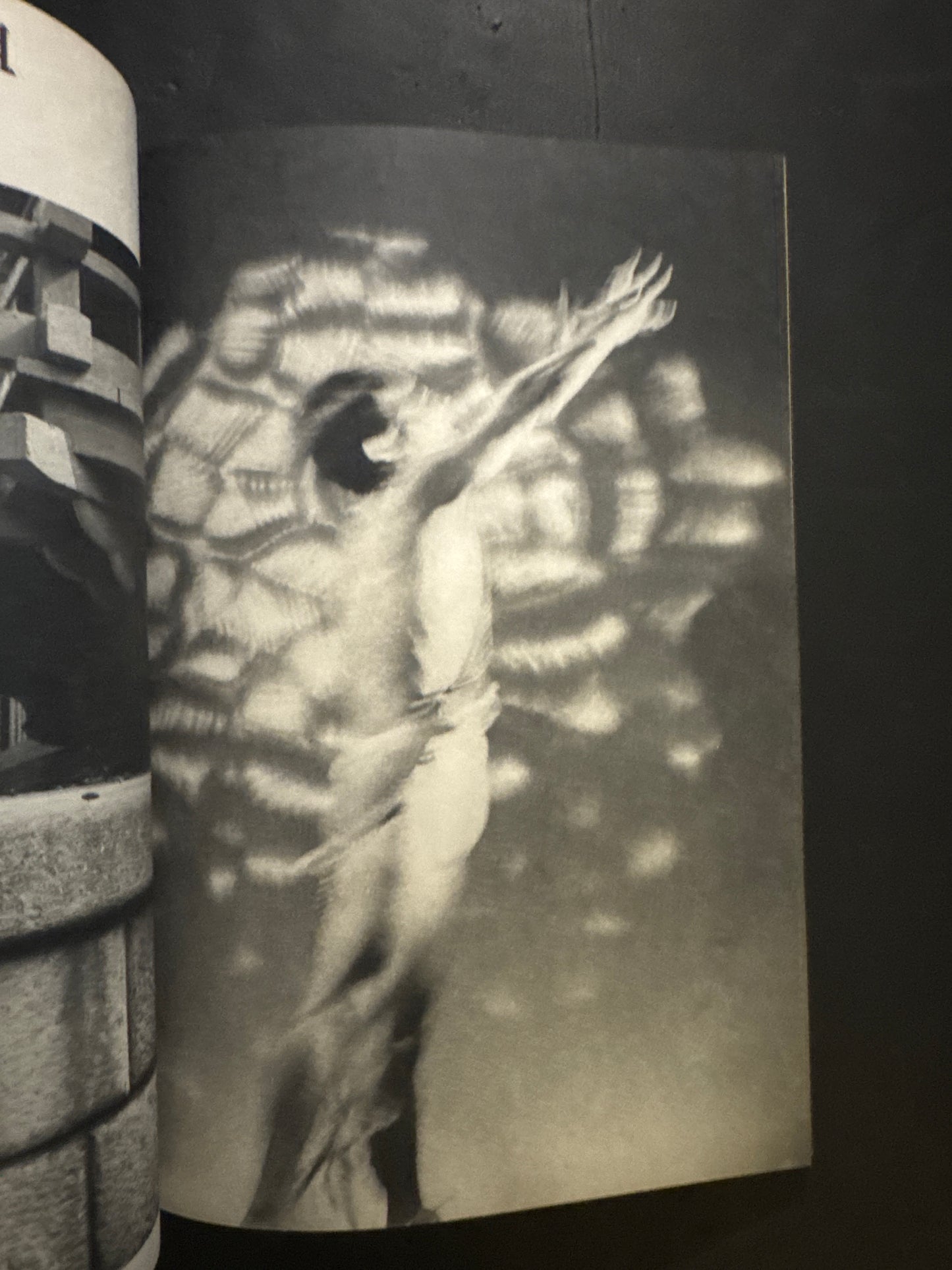 KINEMA JUNPO : The psychedelic world