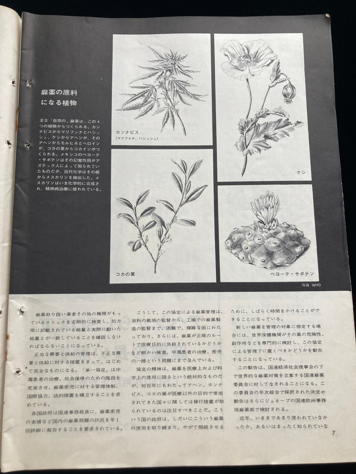 Unesco"couriar Japan"