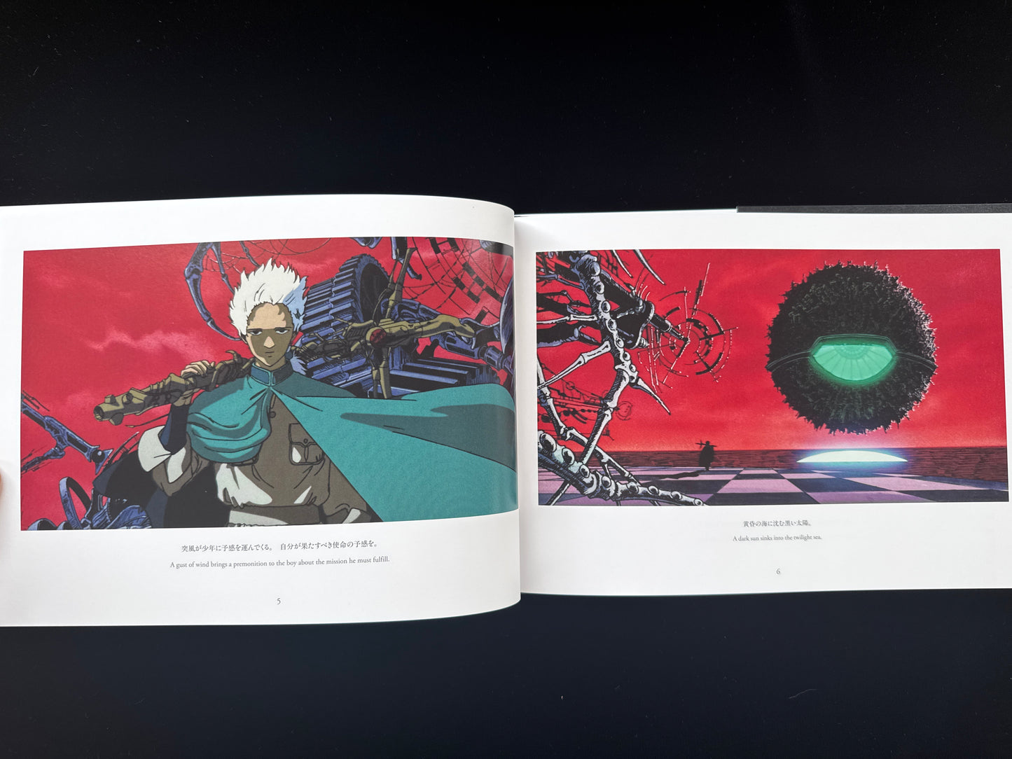 Angel's Egg THE VISUAL COLLECTION