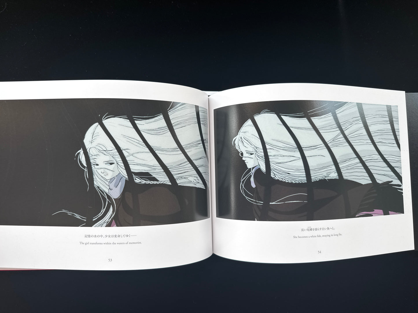 Angel's Egg THE VISUAL COLLECTION