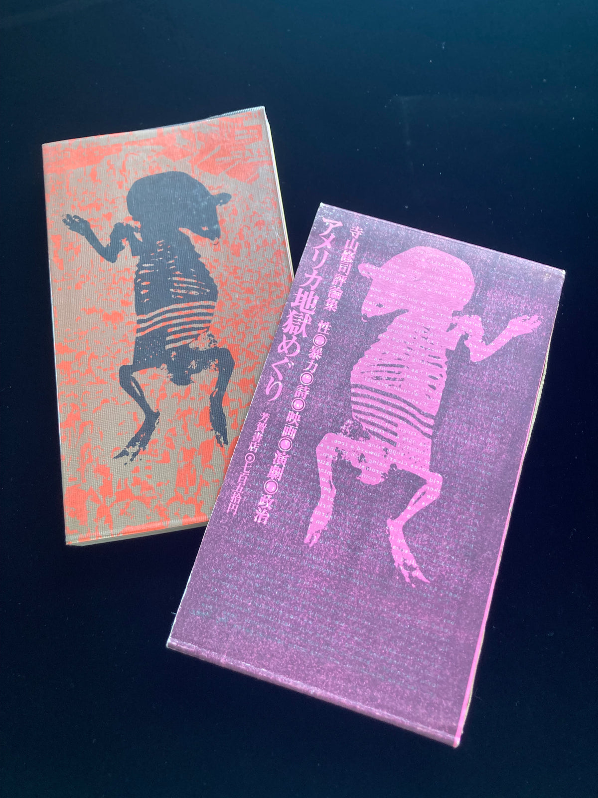 Collected Critical Essays by Shuji Terayama
A Tour of Hell in America