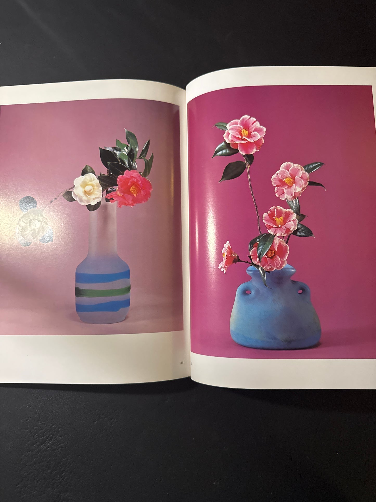 Sofu Teshigawara Ikebana 5 vol. complete set