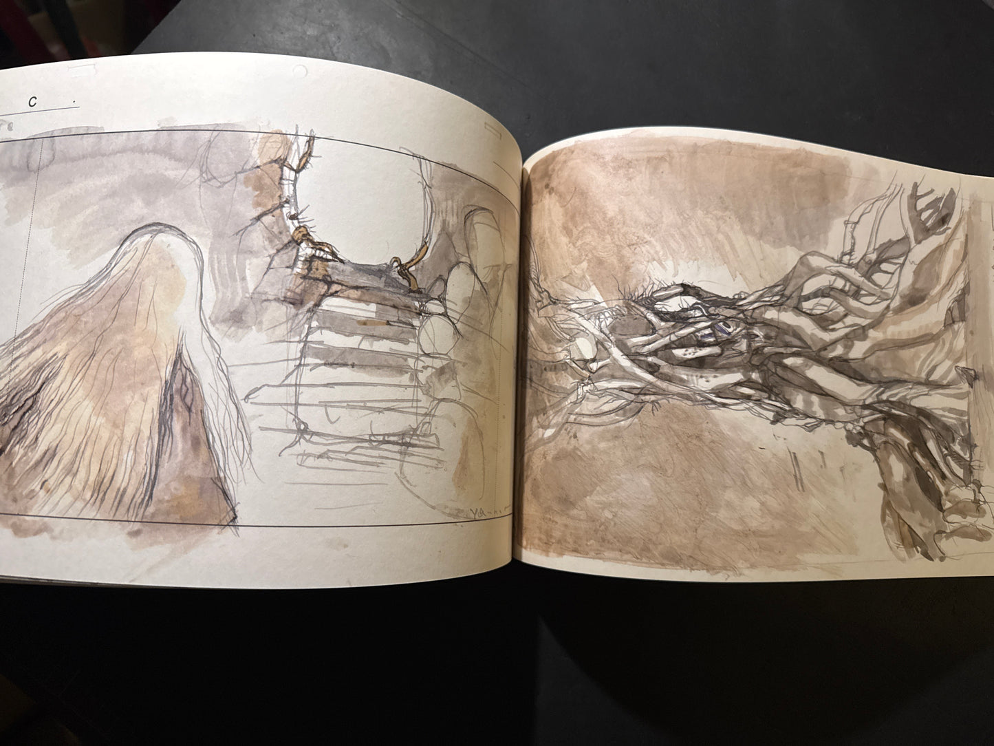 ANGEL'S EGG IMAGE BOARDS(Unopened)