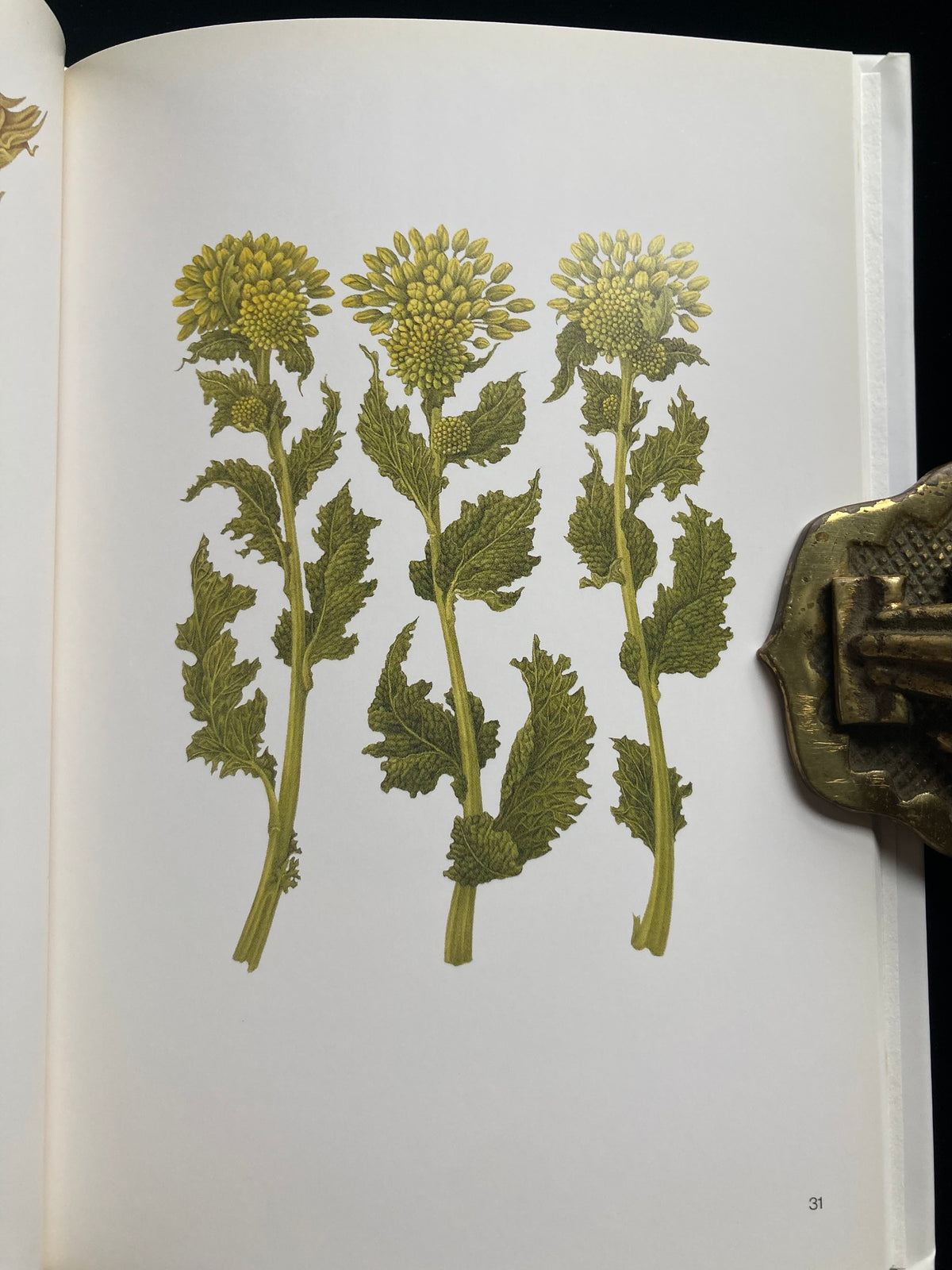 Tadashi Ohara(World Graphic Design 28)