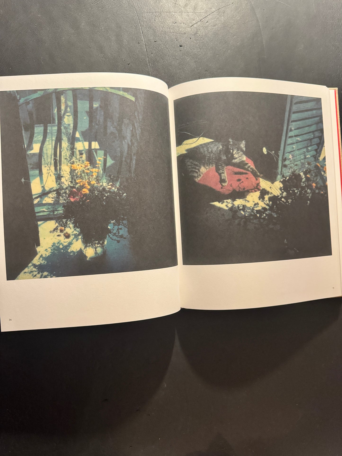 Bright, Bright Day (Russian edition)