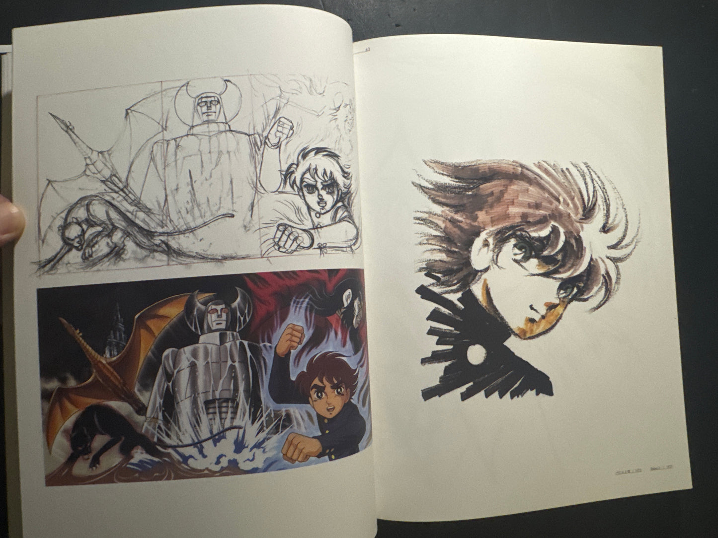 SHINGO ARAKI 1939-2011 : Hitomi to Tamashii (Eyes and Soul)