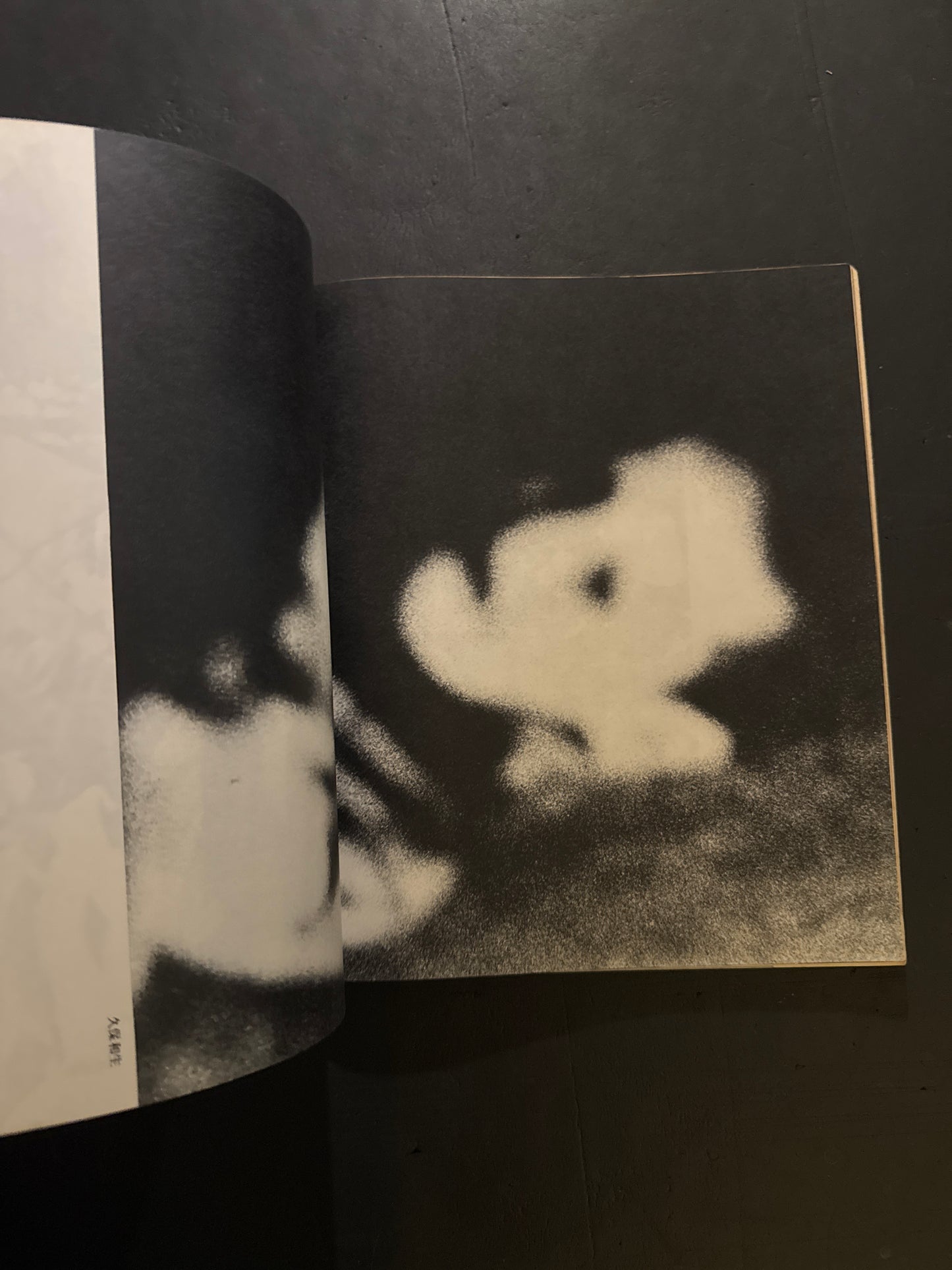 The Photo Image 10 issues complete set