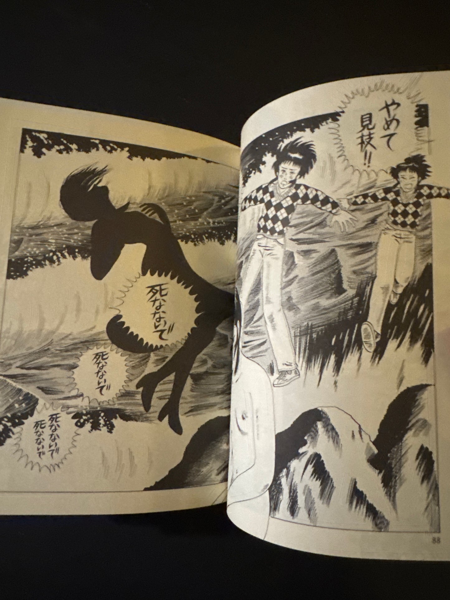 Thoughts on the Chocolate Sphinx