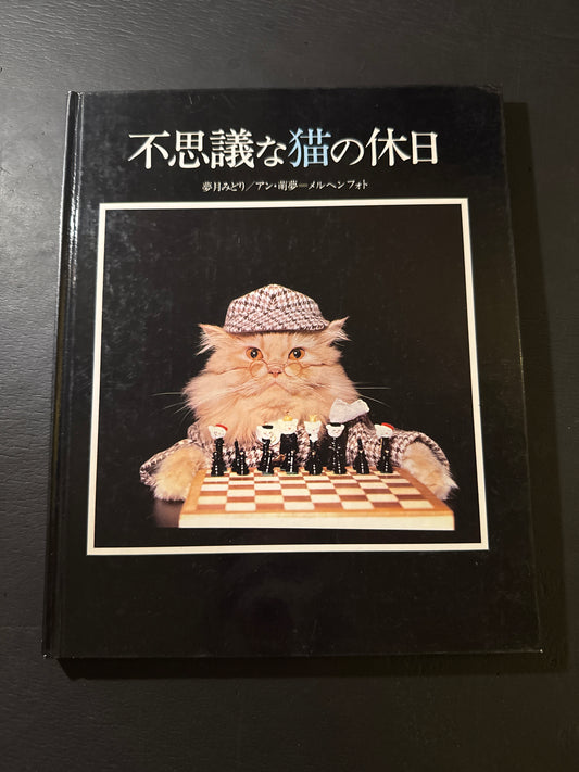 Holiday in Cat's Land