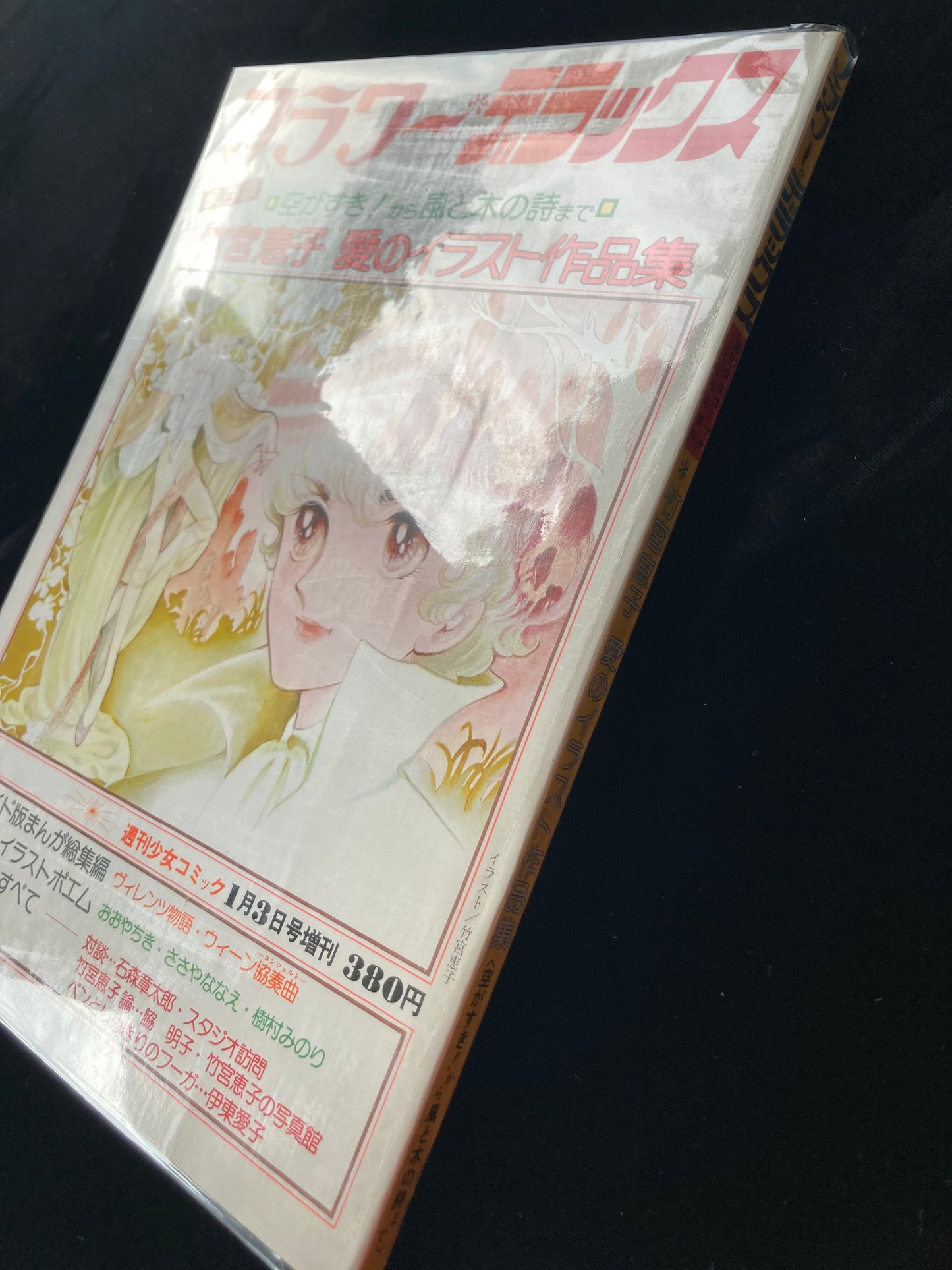 "Flower Deluxe" Keiko Takemiya illustration book