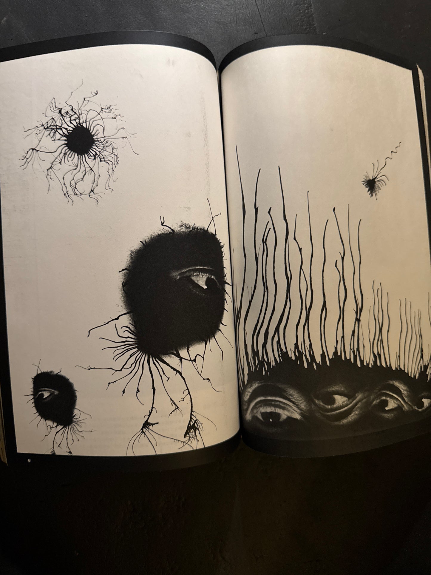 Asahi Camera 1964 complete set