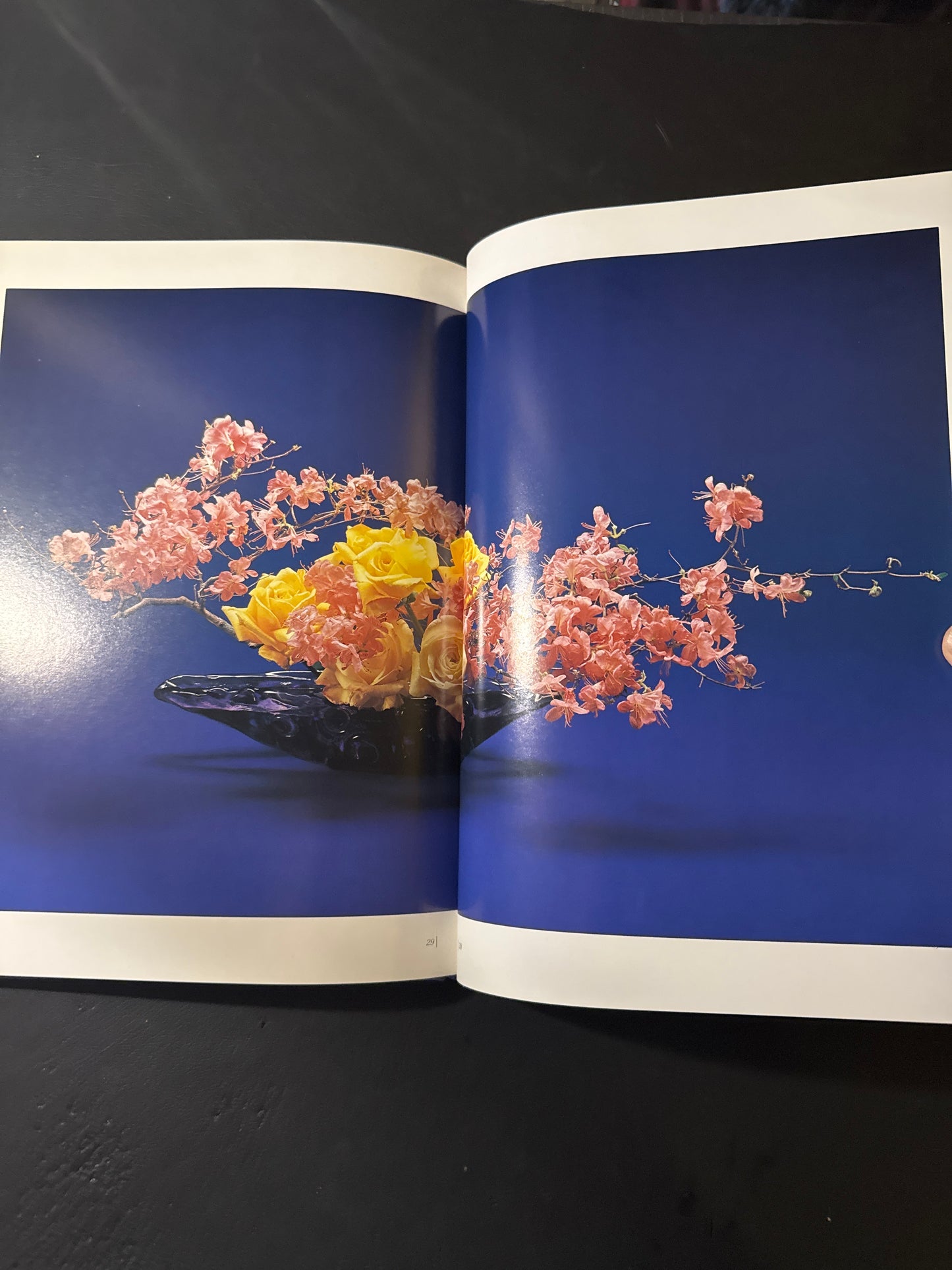 Sofu Teshigawara Ikebana 5 vol. complete set