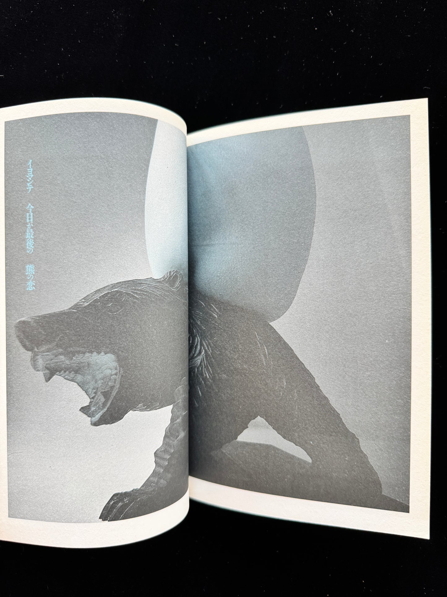 Hana ni Mizu (Water the flowers)  cassette book