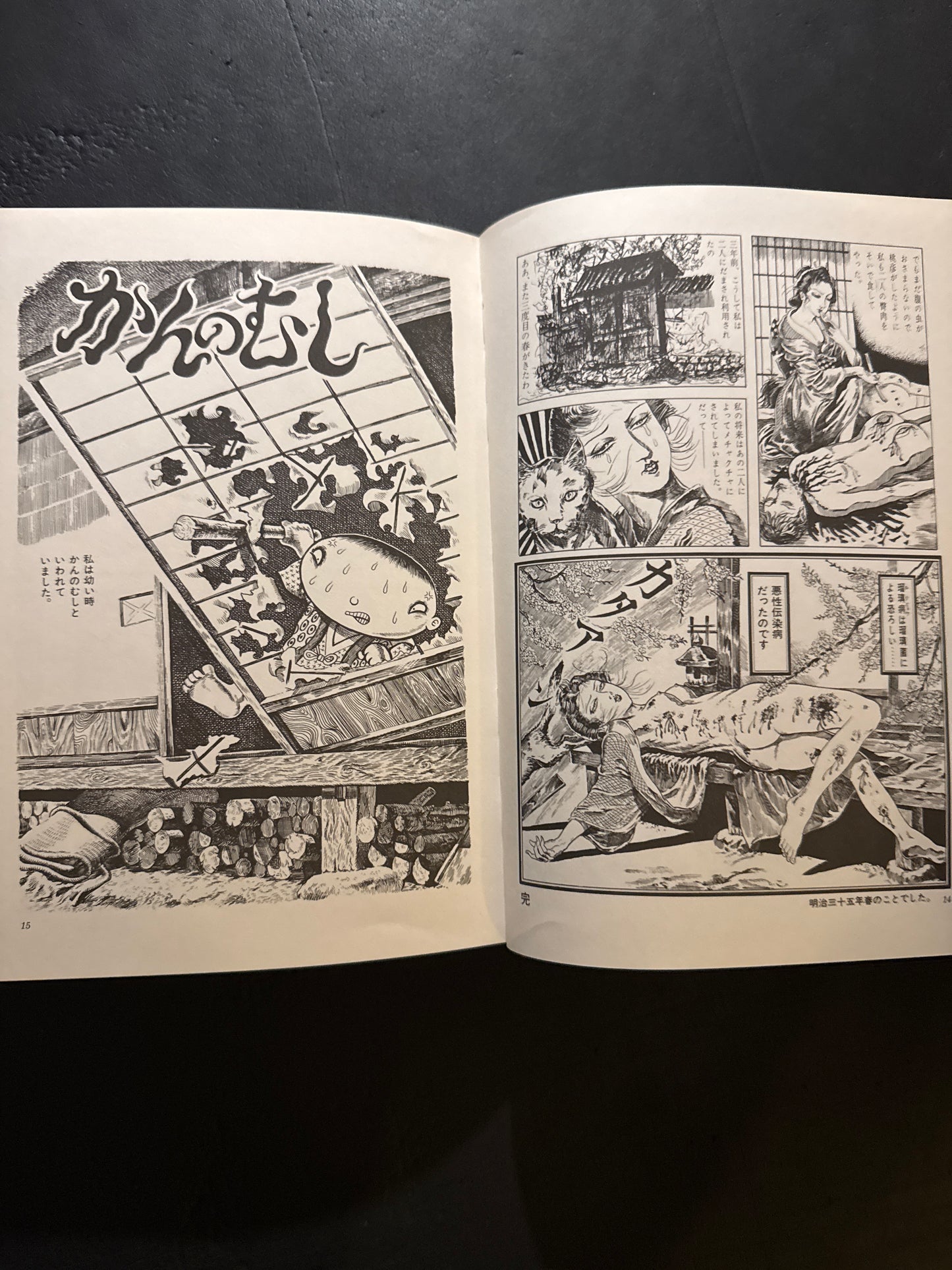 Kazuichi Hanawa Works : Limited 800 copies