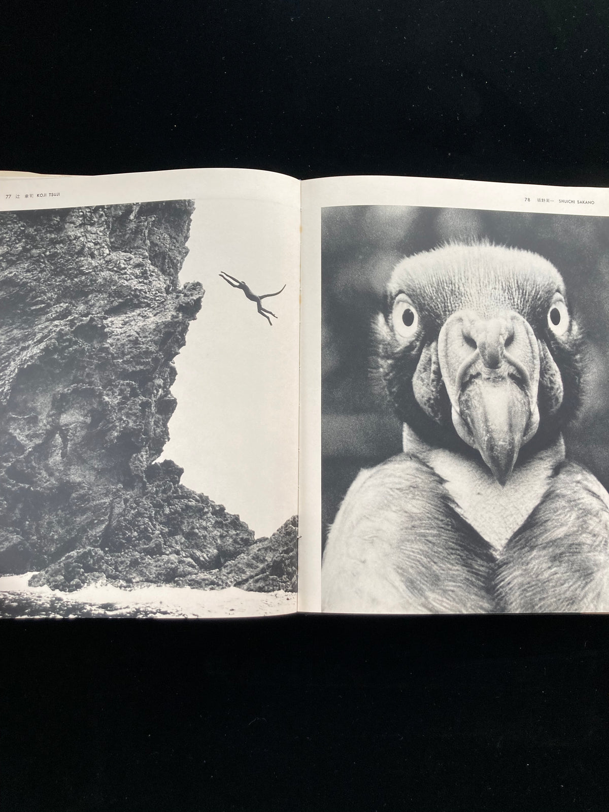 photography of the world '65