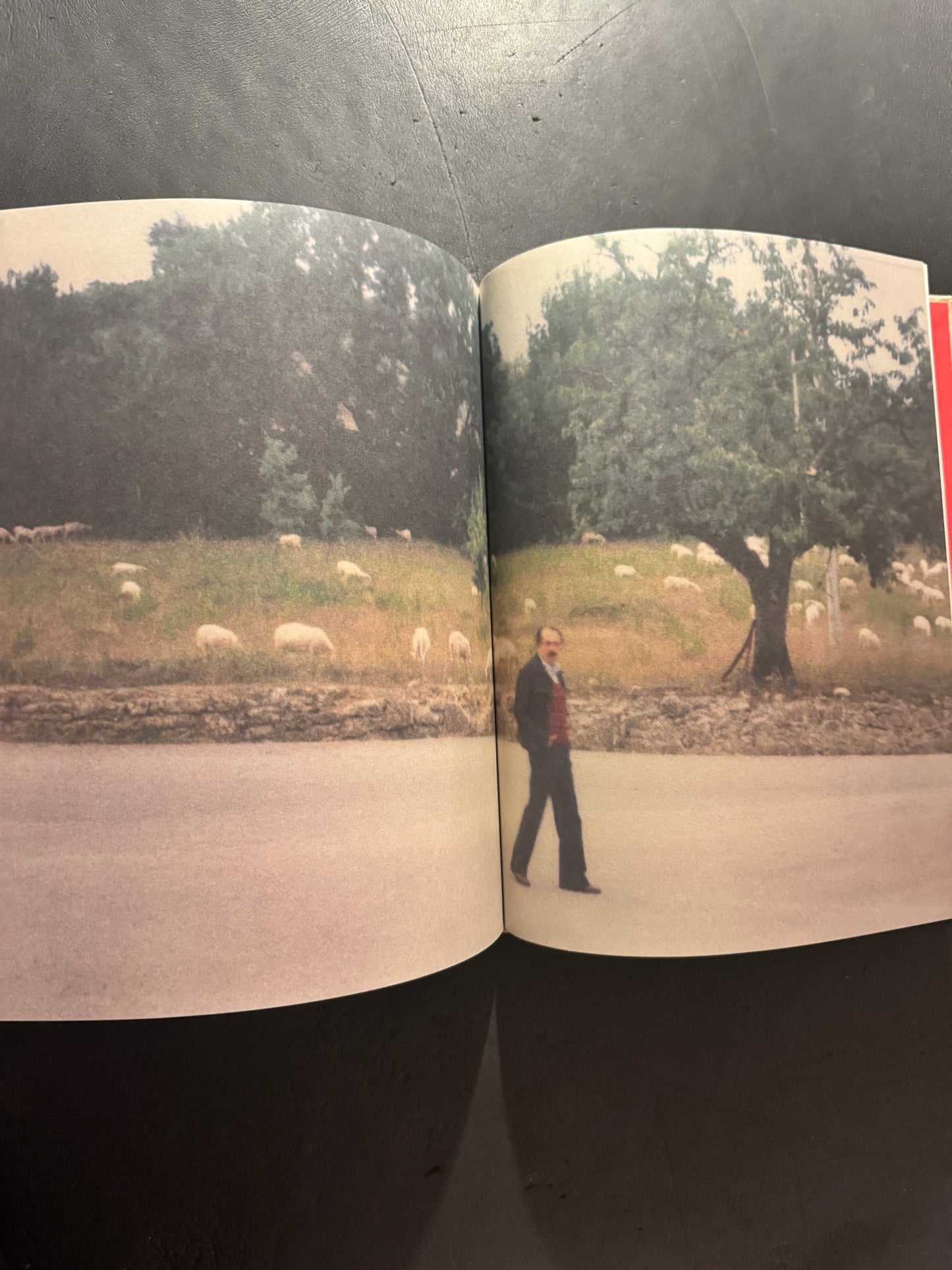 Bright, Bright Day (Russian edition)