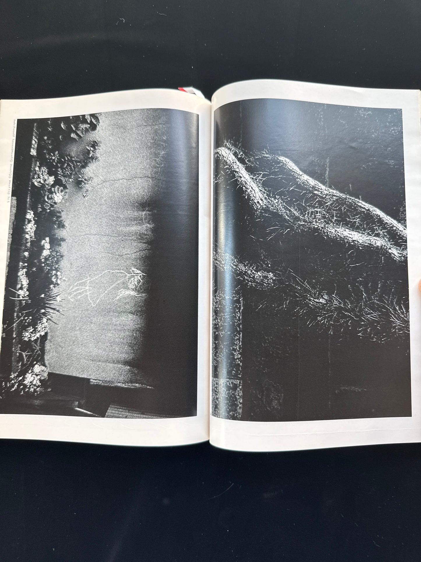 CAMERA MAINICHI 1975 Complete set