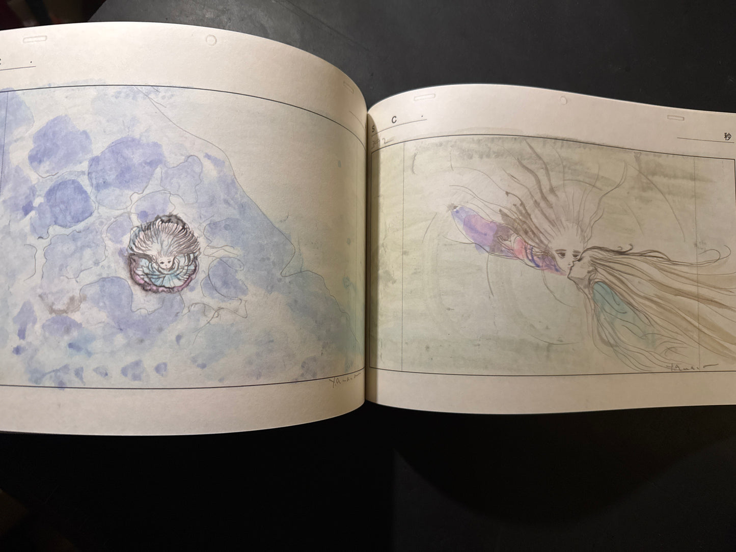 ANGEL'S EGG IMAGE BOARDS(Unopened)