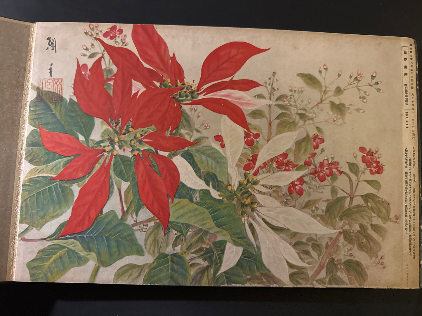 Hyakka: An Illustrated Collection of a Hundred Flowers